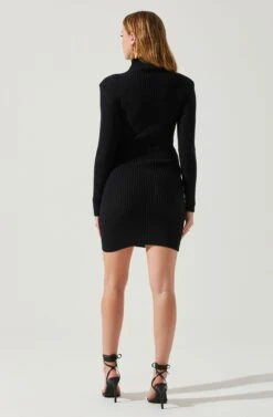 Gwendolyn Turtleneck Sweater Mini Dress -Sun Gaia Dresses Shop ACDR100970SH BLACK 6