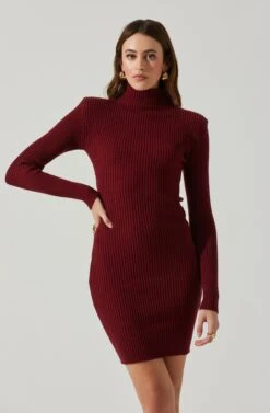 Gwendolyn Turtleneck Sweater Mini Dress -Sun Gaia Dresses Shop ACDR100970SH WINE 3