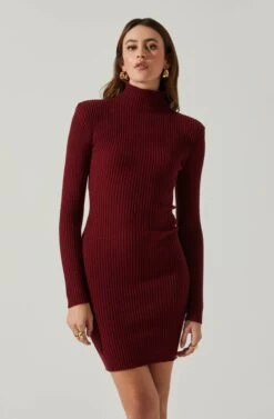 Gwendolyn Turtleneck Sweater Mini Dress -Sun Gaia Dresses Shop ACDR100970SH WINE 4