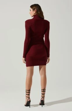 Gwendolyn Turtleneck Sweater Mini Dress -Sun Gaia Dresses Shop ACDR100970SH WINE 6