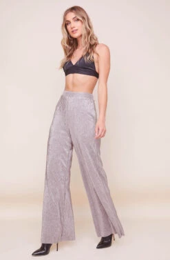 Aileen Wide Leg Plisse Pant -Sun Gaia Dresses Shop ACP7192 PEWTER 7