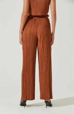 Cruise Pleated Wide Leg Pants -Sun Gaia Dresses Shop ACP7230 RUST 4