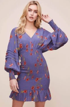 Dolman Smocked Dress