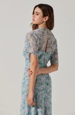 Flutter Sleeve Open Back Maxi Dress -Sun Gaia Dresses Shop ADR101803 LIGHTBLUEMULTIFRL 6