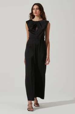 Inverted Pleat Neck Jumpsuit -Sun Gaia Dresses Shop AP7241 BLACK 2